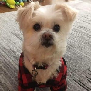 Meet your Posher, Lori